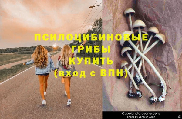 крисы Усмань
