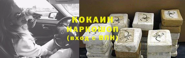 прущие грибы Усолье-Сибирское