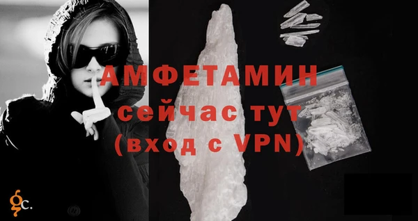 прущие грибы Усолье-Сибирское
