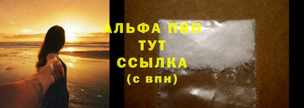прущие грибы Усолье-Сибирское