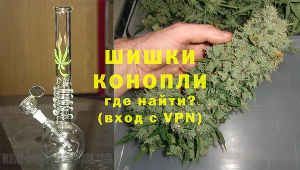 прущие грибы Усолье-Сибирское