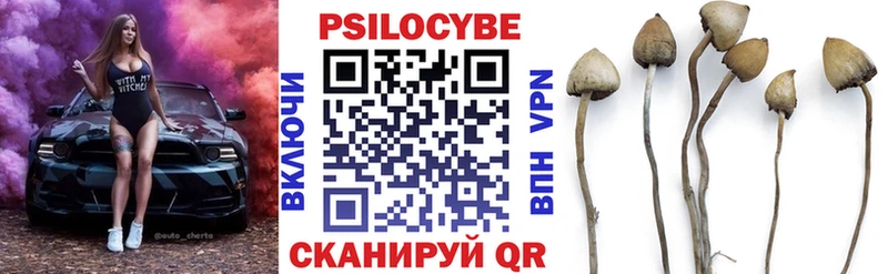 Псилоцибиновые грибы Cubensis  Купить  Углегорск 
